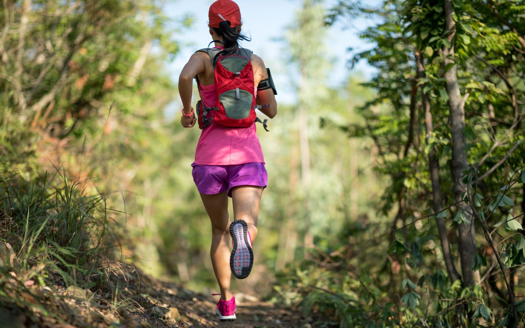 La course des Templiers trail